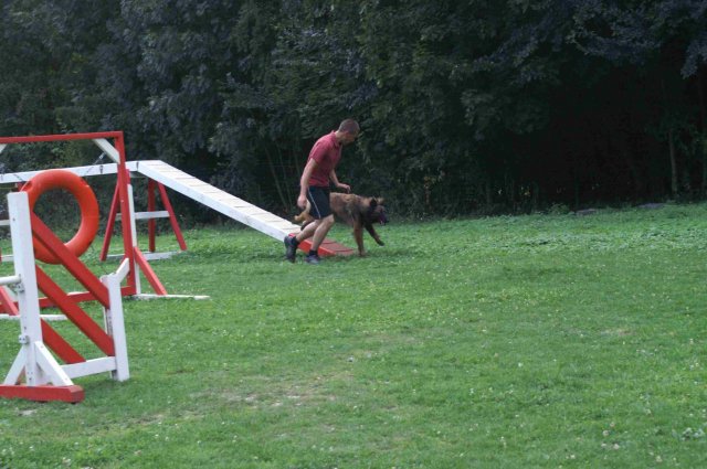 agility 2011-09